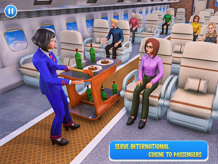 Flying Airplane Flight Hostess