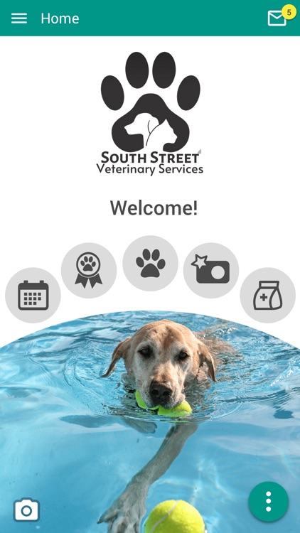 South Street Vet Services