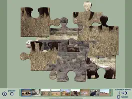 Game screenshot African Wildlife Puzzles mod apk