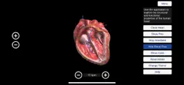 Game screenshot Human Heart mod apk
