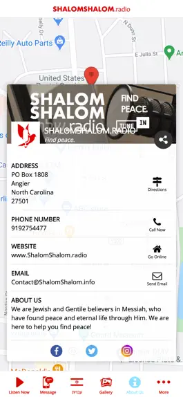 Game screenshot ShalomShalom.radio hack