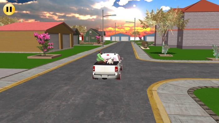 Virtual Cat Pet Games