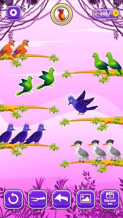 Color Bird Sort Puzzle Games