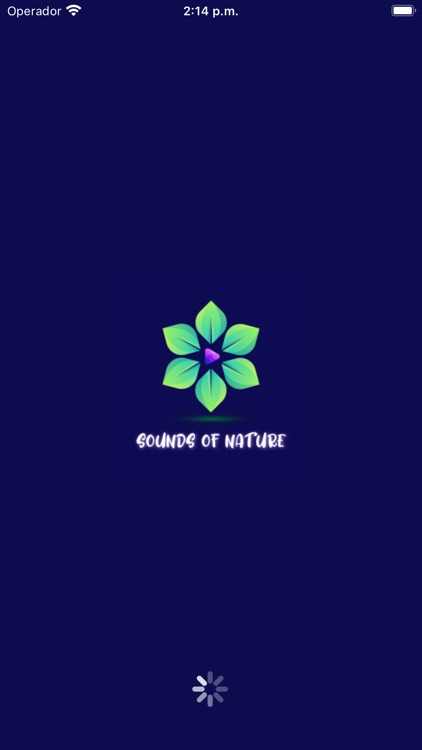Sounds of Nature Music