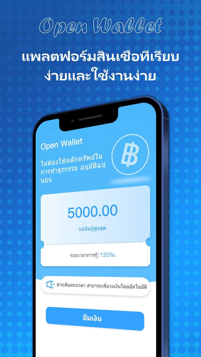 Open Wallet