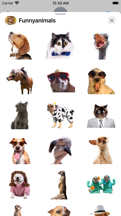 Funniest Animal Expressions screenshot-4