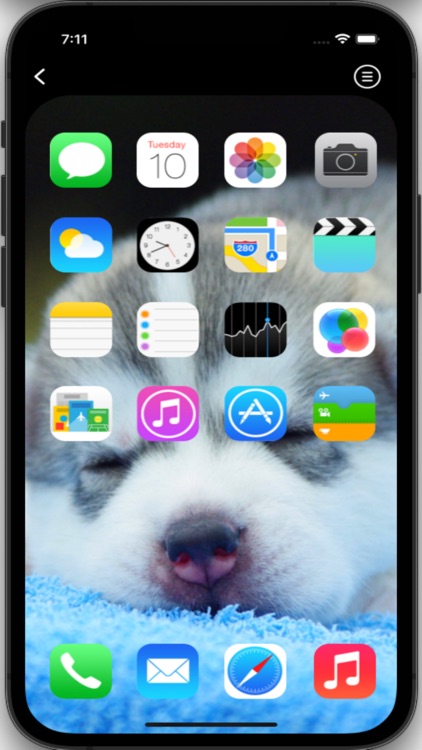 Husky Wallpapers HD Pro screenshot-9