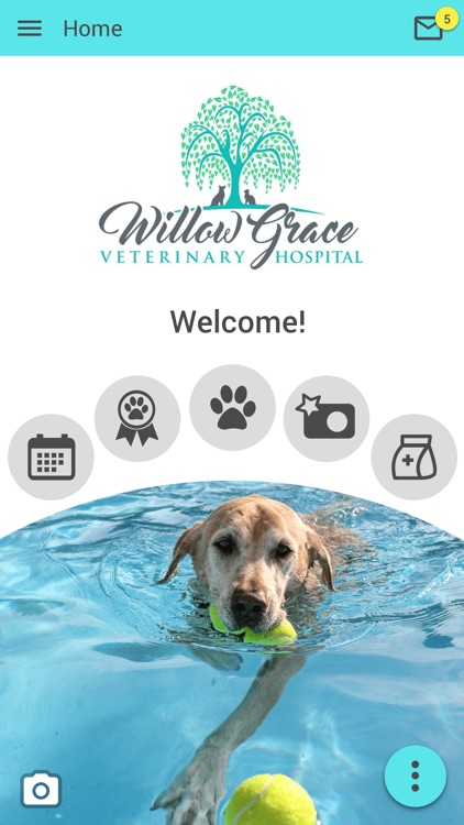 Willow Grace Vet Hospital