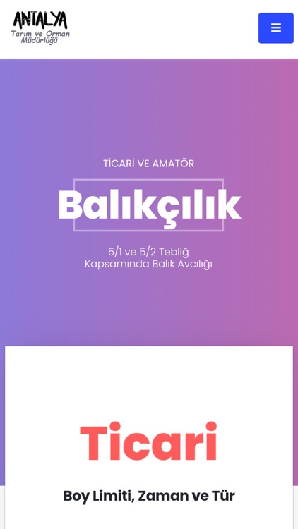 Balıkçı