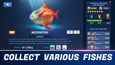 Fishing Elite The Game screenshot 4