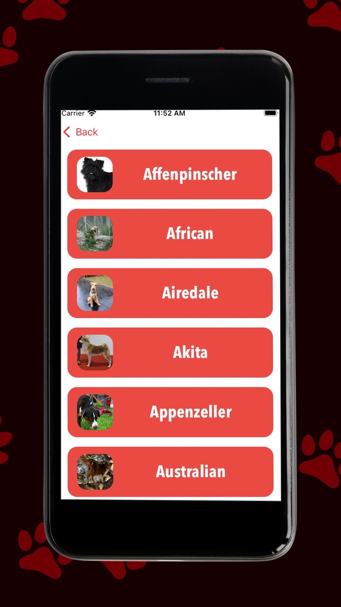 Red Dog - Play and Train