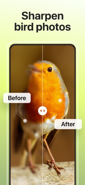 Picture Bird: Birds Identifier On The App Store
