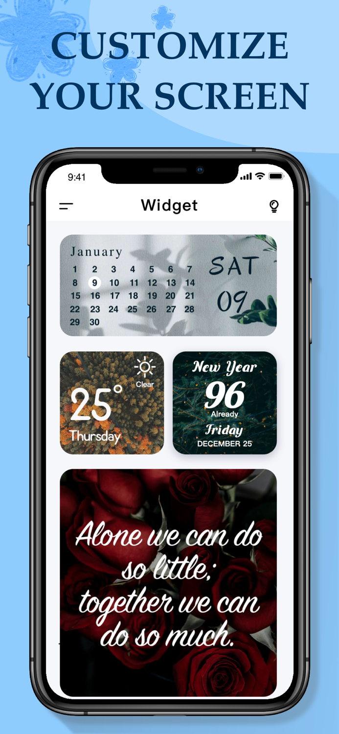 Themes Icons  Fancy Widgets