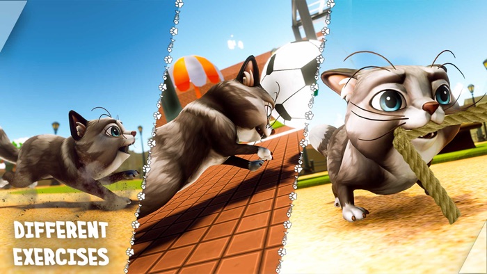 少し 子猫 猫 愛 物語