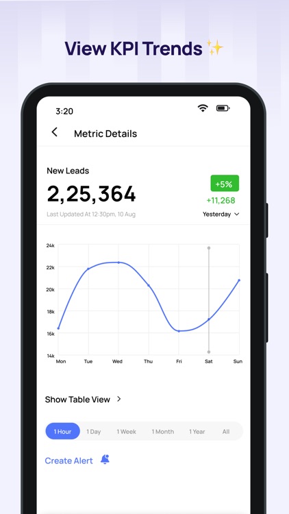 Amigo: Mobile Business Reports