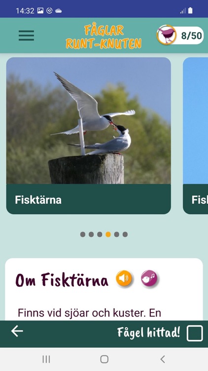 Fåglar Runt-Knuten screenshot-4