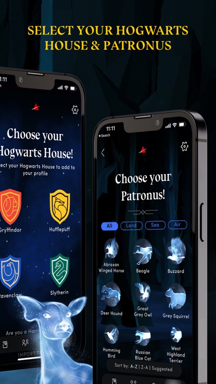 Harry Potter Magic Caster Wand screenshot-6