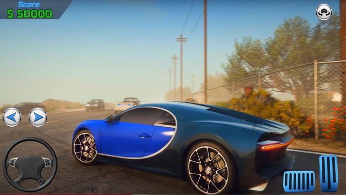 Racing Car Simulator - RCS