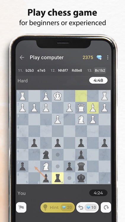 Chess -  Classic Puzzle Game