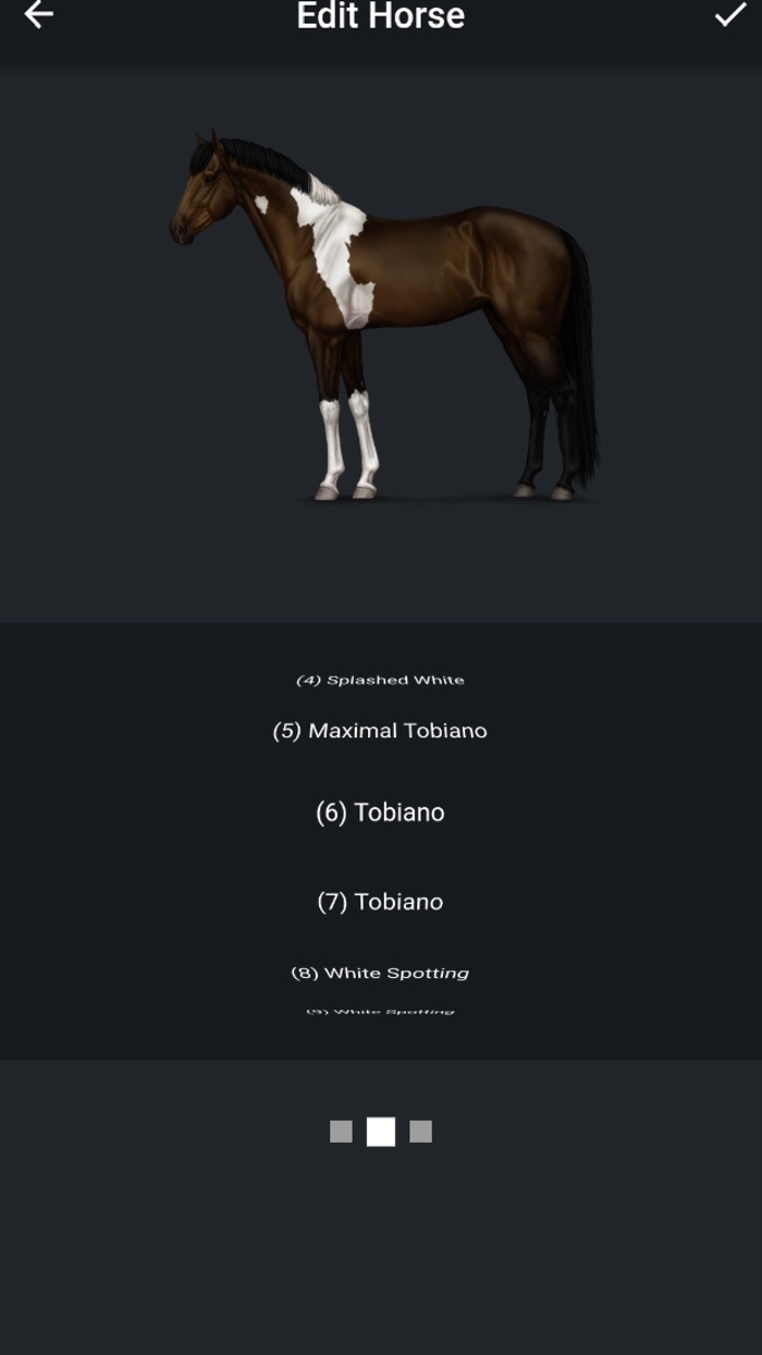 NOBLE HORSE DESIGNER