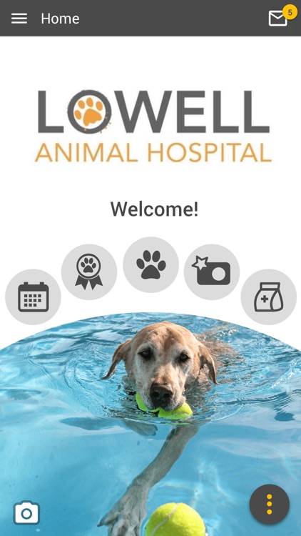 Lowell Animal Hospital