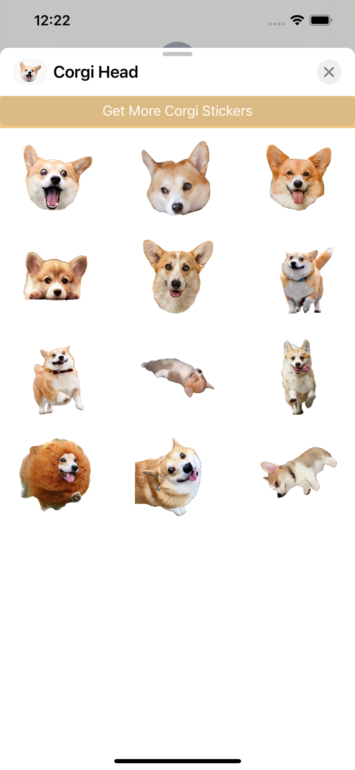 Corgi Dogs Head
