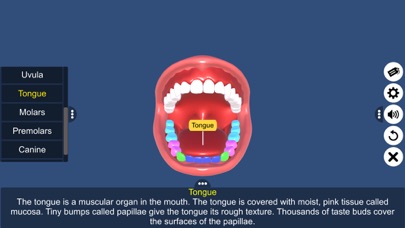 Buccal cavity Screenshot