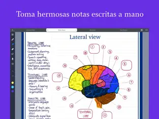 Captura de Pantalla 1 Noteful: Note-Taking on PDF iphone