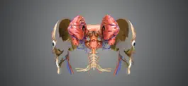 Game screenshot Virtual Reality Human Body! hack