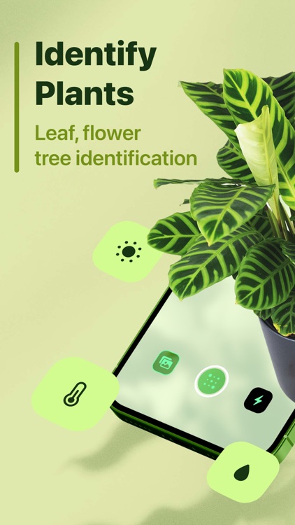 Leaf Identification screenshot-0