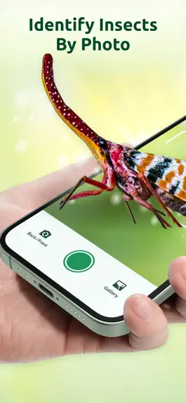 Game screenshot Bug Identifier - Insect ID App mod apk