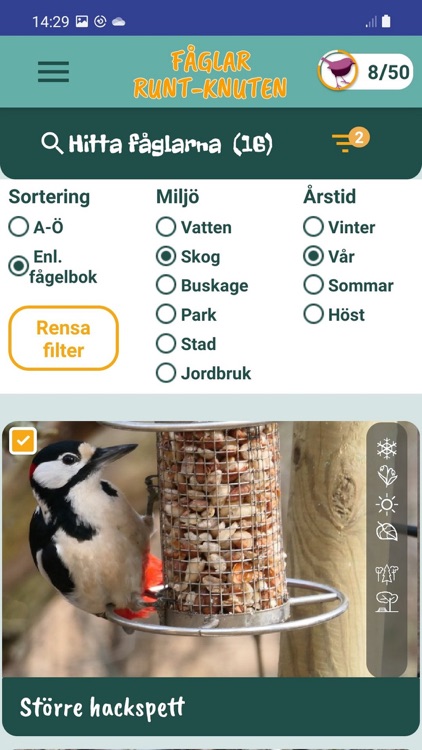 Fåglar Runt-Knuten screenshot-5