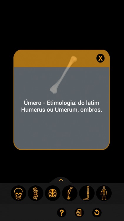 Anatomia Fácil na Palma da Mão