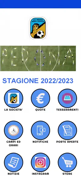 Game screenshot PEDONACALCIO mod apk