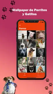 imagenes perros y gatos iphone screenshot 1