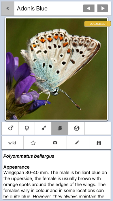 Butterfly Guide - Europe Screenshot