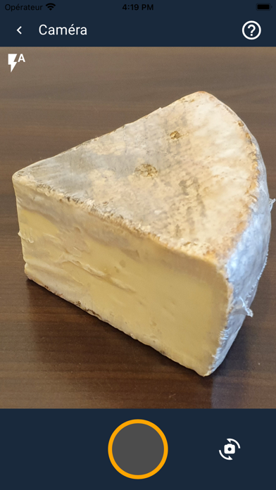 Cheezam Cheezam