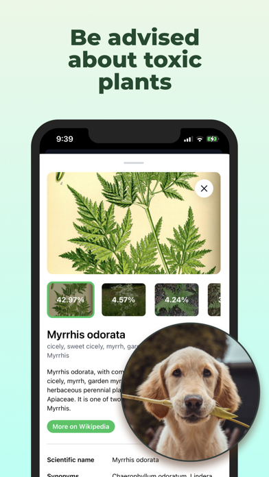 Pot: Plant identification,careのおすすめ画像5