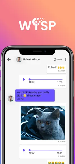 Game screenshot Wisp Messenger mod apk