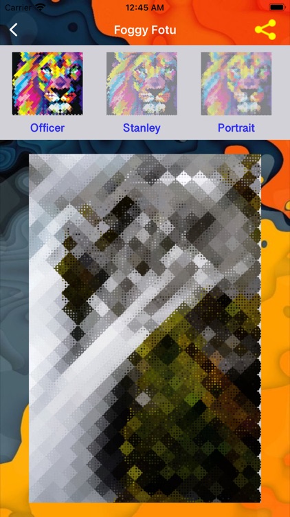 Blur A Photos screenshot-3