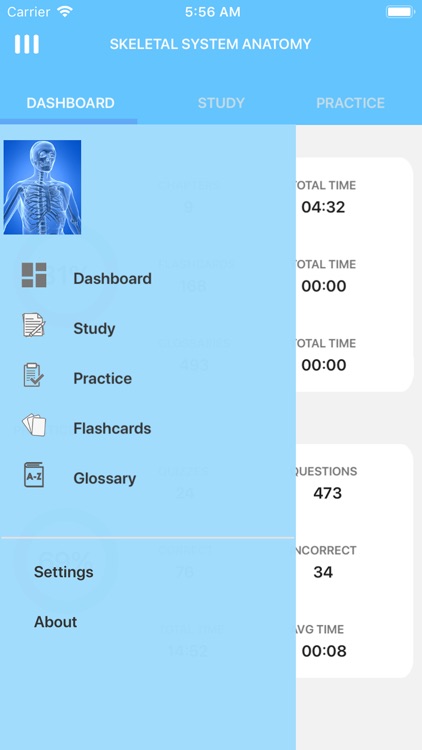 Learn Skeletal System