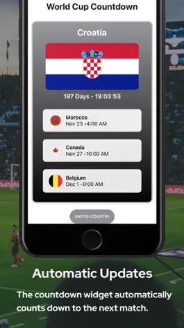 Game screenshot WorldCup Widget hack