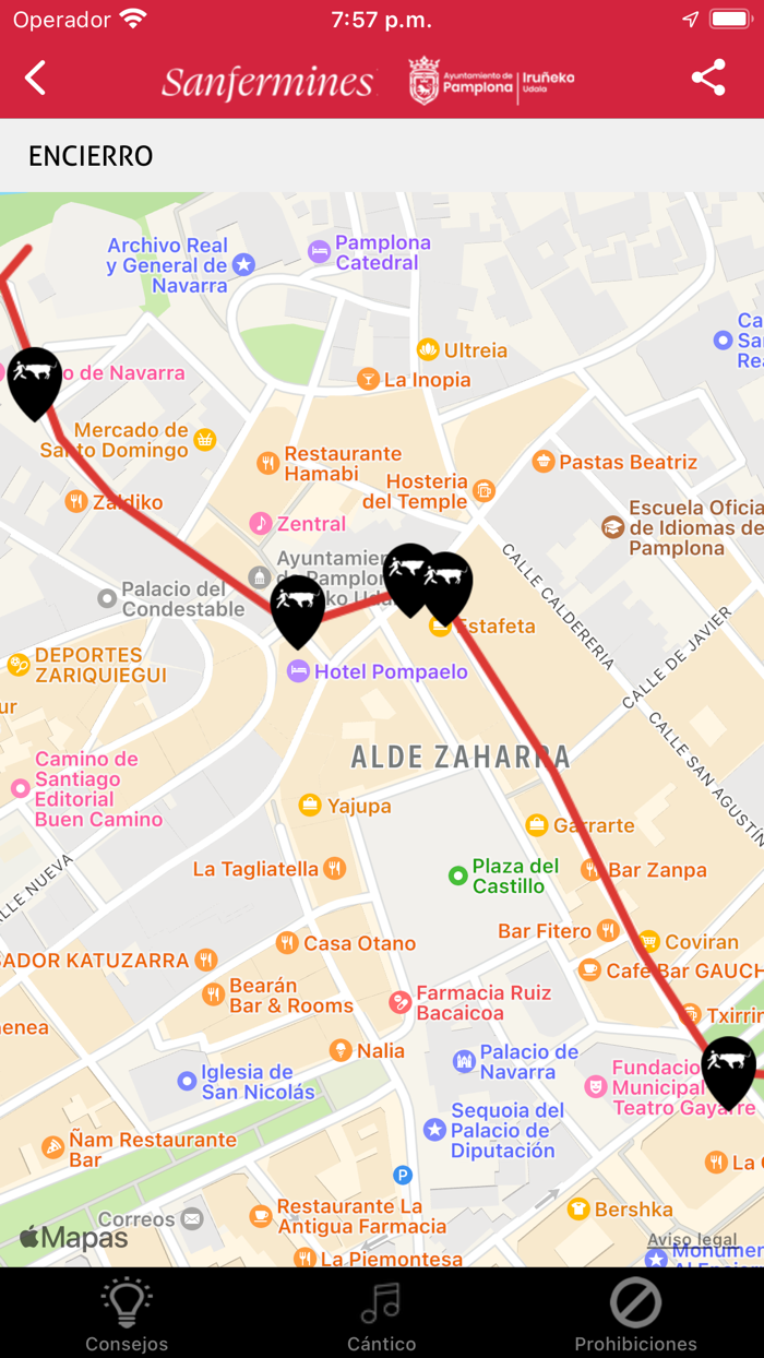 Sanfermines Pamplona