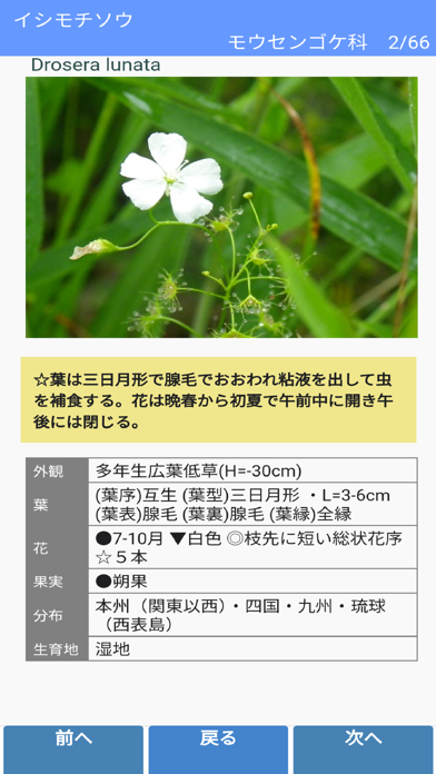 街野植物図鑑 screenshot1