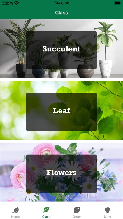 DMFLA-GreenPlantMall screenshot-3