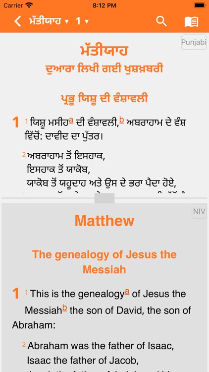 Punjabi Contemporary Bible