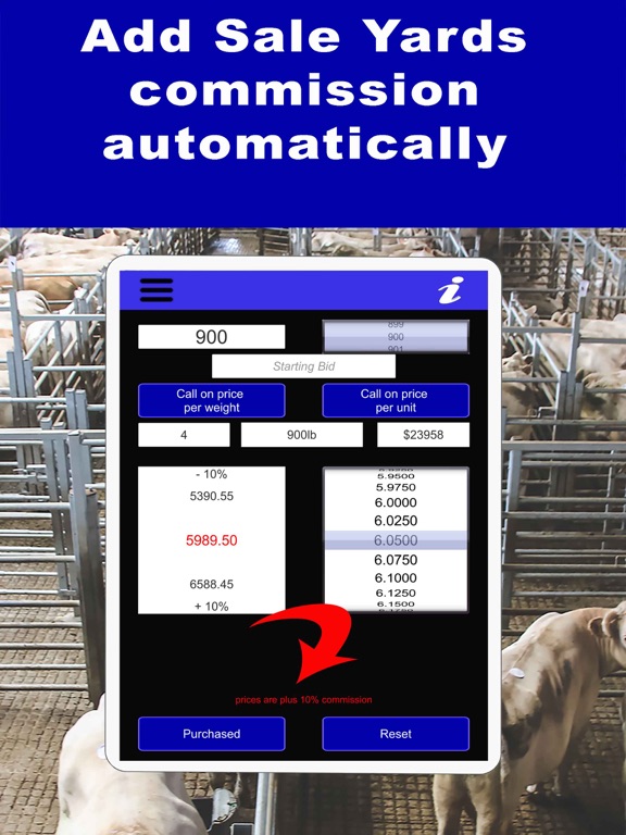 Livestock Auction Calculator screenshot 4