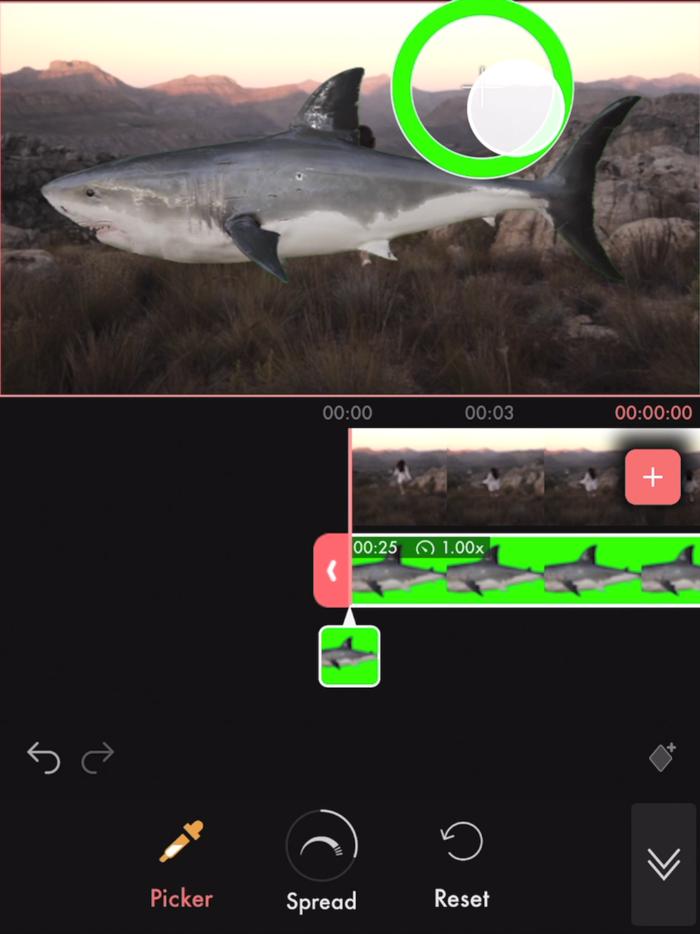 Videoloop Video Editor
