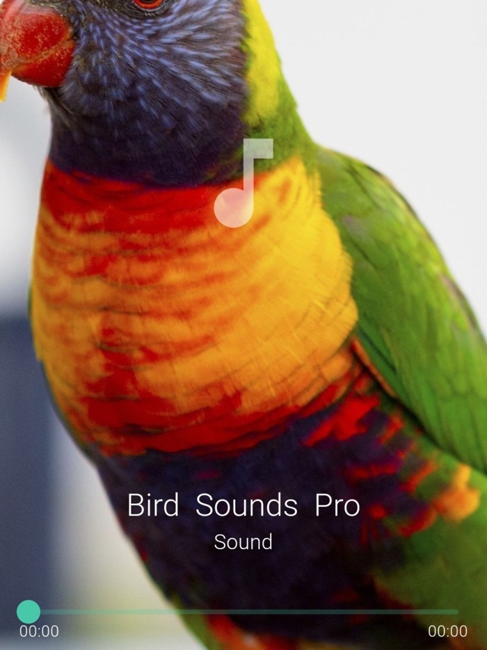 Bird Sounds Pro Plus