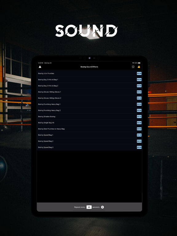 Boxing Sound Effects screenshot 2